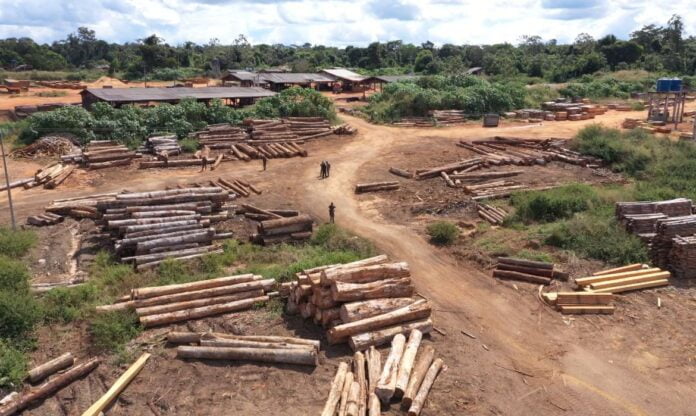 MPF reitera pedido de retirada de invasores de terras indígenas