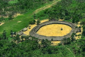 Justiça obriga ANM a leiloar minério ilegal extraído da TI Yanomami