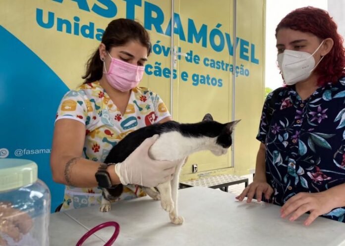 Unidade Móvel realiza castração solidária de cães e gatos; saiba como agendar