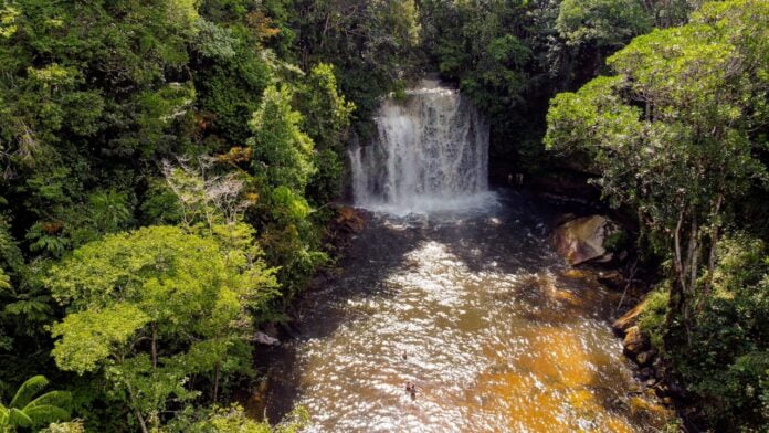 Saiba como aproveitar os feriados de 2023 no Amazonas