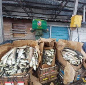 Embarcação é presa por pesca ilegal em Manaus