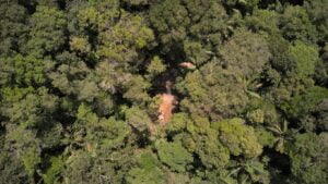 Terra das cachoeiras: Descubra os tesouros inexplorados de Presidente Figueiredo
