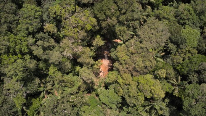 Terra das cachoeiras: Descubra os tesouros inexplorados de Presidente Figueiredo