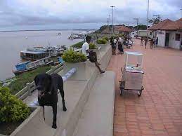 Frente de Manacapuru, com o rio Solimões ao fundo