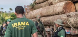 AGU libera Ibama para cobrar R$ 29 bilhões em multas barradas sob Bolsonaro