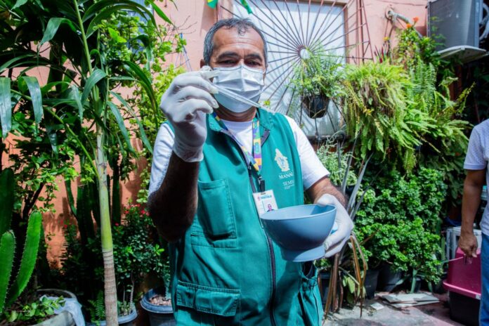 Levantamento aponta 19 bairros de Manaus em vulnerabilidade para Aedes aegypti