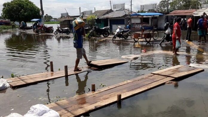 Alerta de cheias prevê cotas máximas para rios Negro, Solimões e Amazonas em 2023