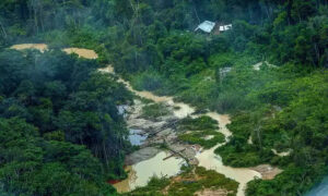 8 corpos são encontrados na Terra Indígena Yanomami