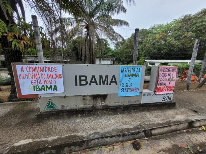 Ambientalistas fazem ato de apoio ao Ibama após polêmica da capivara Filó