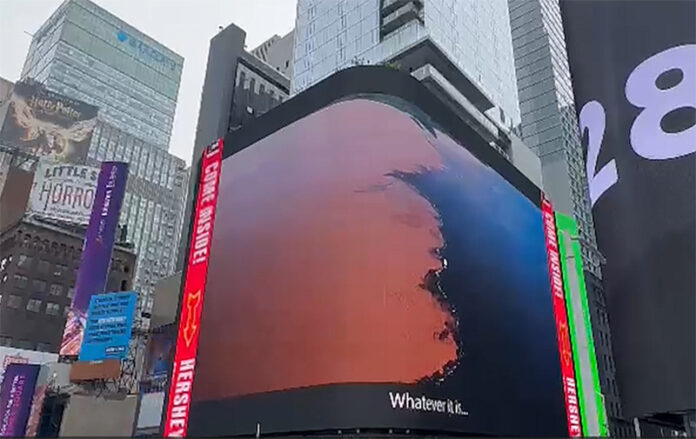 Amazonas aparece em campanha de turismo em Nova York
