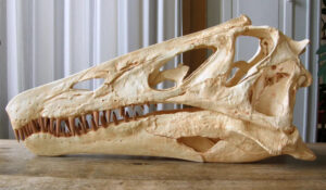 Cientista pressionam Alemanha a devolver fóssil de dinossauro contrabandeado do Brasil