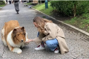 VÍDEO: Japonês com fantasia realista de cachorro faz seu 1º passeio em público