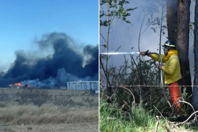 VÍDEOS: Incêndios florestais impressionantes no Havaí forçam evacuações