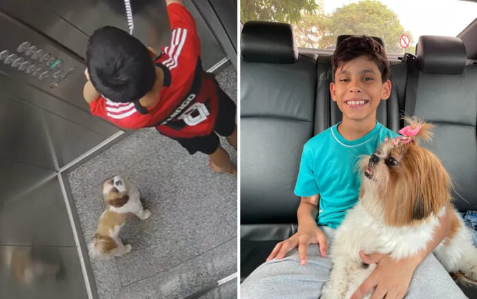 VEJA VÍDEO: Menino salva cadelinha de se enforcar em elevador, em Goiás
