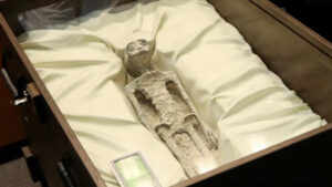 Ufólogo que apresentou múmias de supostos ETs mostra exames médicos nos corpos em live
