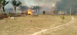 VÍDEOS: Moradores de Autazes combatem incêndios na mata e na BR-319