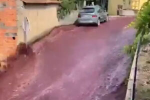 VÍDEO: "Rio" de vinho inunda ruas de cidade em Portugal após vazamento