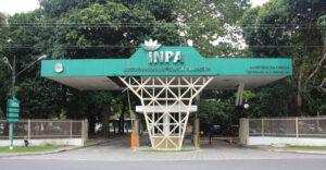 Inpa anuncia concurso com 63 vagas e salários de até R$ 14,2 mil