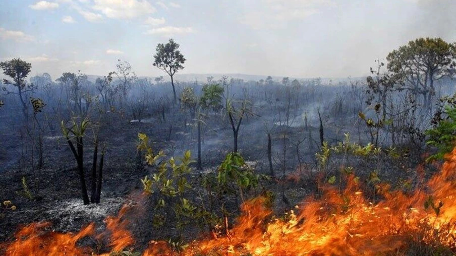 Roraima apresenta alta de queimadas: 194 focos em setembro