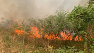 Enquanto Manaus volta a ficar coberta de fumaça, AM registra mais de 200 focos de queimadas num dia