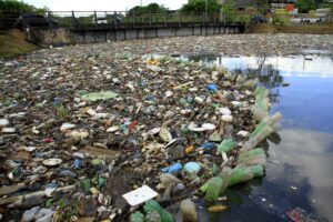 Defensoria realiza ação para retirar resíduos sólidos de igarapé de Manaus