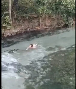 ASSUSTADOR: Mulher nada em rio no MS e topa com uma sucuri