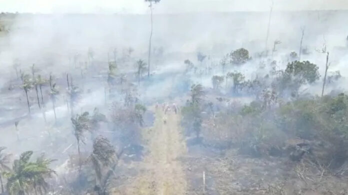 Parque histórico enfrenta incêndio na BA; governo envia bombeiros e aeronaves