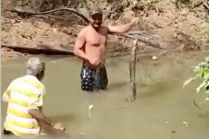 VÍDEO: Pescador segura peixe-elétrico amazônico e fica paralisado com choque