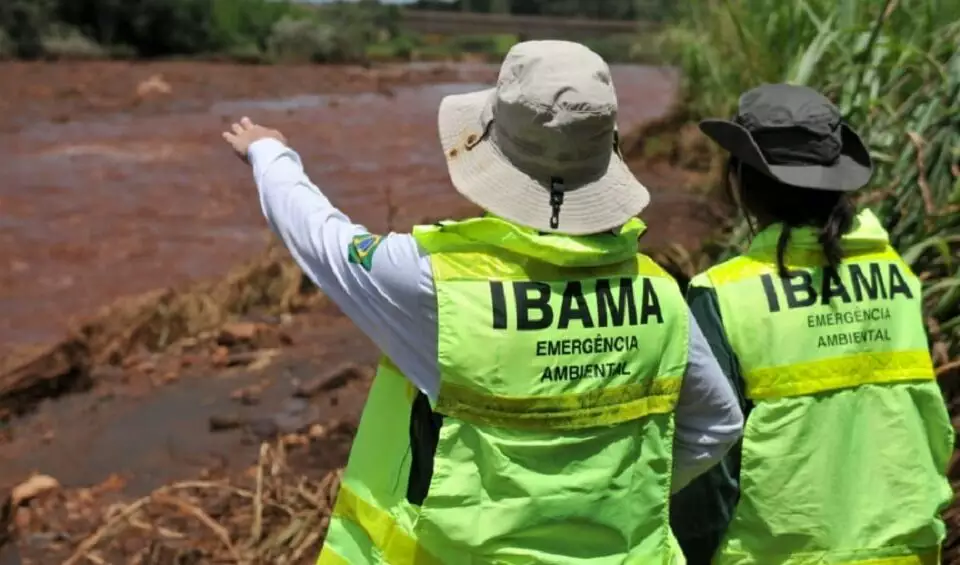 Funcionarios do Ibama e Icmbio