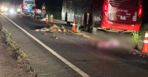 Tragédia em Cuiabá: Motoqueiros atingem bezerro na pista e são atropelados por caminhão
