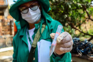 Amazonas tem 2 mortes sob investigação por dengue, diz Ministério da Saúde