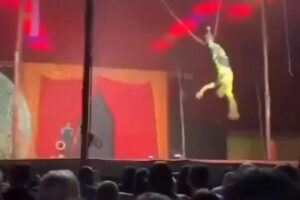 VÍDEO: Trapezista cai sobre plateia durante apresentação de circo no Tocantins