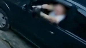 VÍDEO: Mulher em SP joga gata pela janela do carro e a abandona