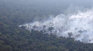 Estudo aponta que danos à Amazônia podem se tornar irreversíveis até 2050