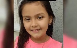 Menina de 7 anos morre em SC após acidente com vaso sanitário