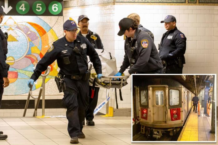 Após ser empurrado em estação, homem morre atropelado por metrô nos EUA