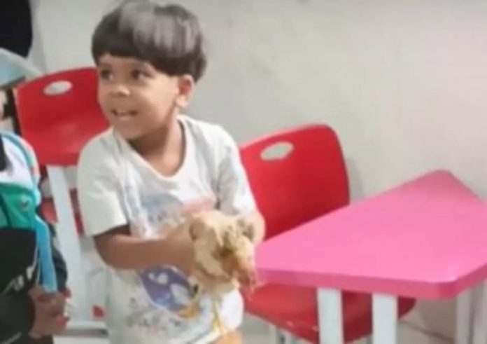 VÍDEO: Menino leva galinha para a escola em Goiânia e vídeo viraliza