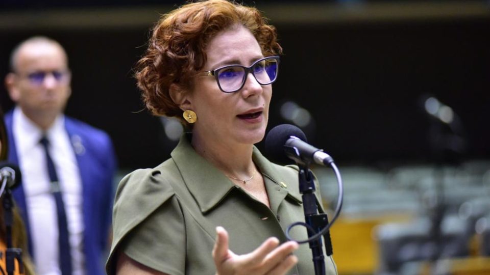 A deputada federal Carla Zambelli, no plenário da Câmara (Foto: reprodução)
