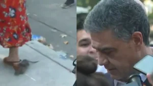 Rato invade coletiva de imprensa de Jorge Macri em Buenos Aires, na Argentina.