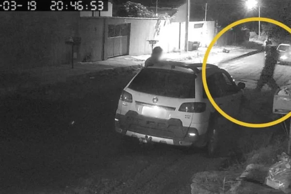 VÍDEO: Homem é preso em flagrante em GO após matar cachorro a pauladas