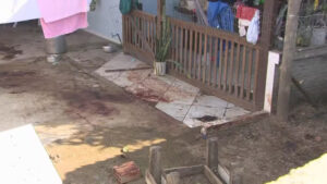 Homem morre em quintal de casa ao ser atacado por 4 pitbulls em Florianópolis