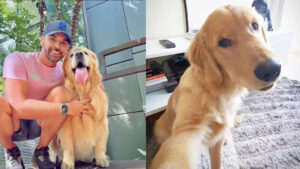 VÍDEO: Cachorro morre após companhia Gol cometer erro em transporte aéreo