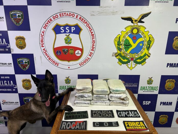 A droga foi achada pela cadela de faro para narcóticos Athena (Foto: Divulgação/PMAM)