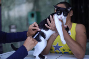 Vacina contra raiva para cães e gatos é ofertada nas comunidades ribeirinhas de Manaus