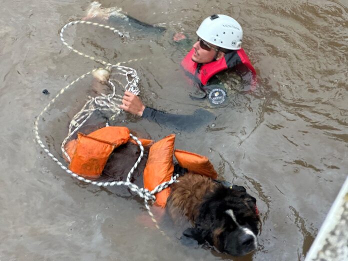 Comissão de Proteção aos Animais da Aleam