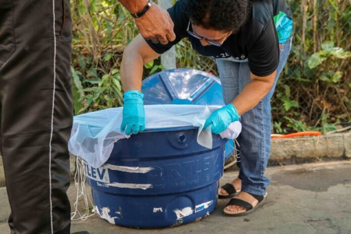 As arbovireses também são conhecidas como dengue, Zika, chikungunya e febre amarela.