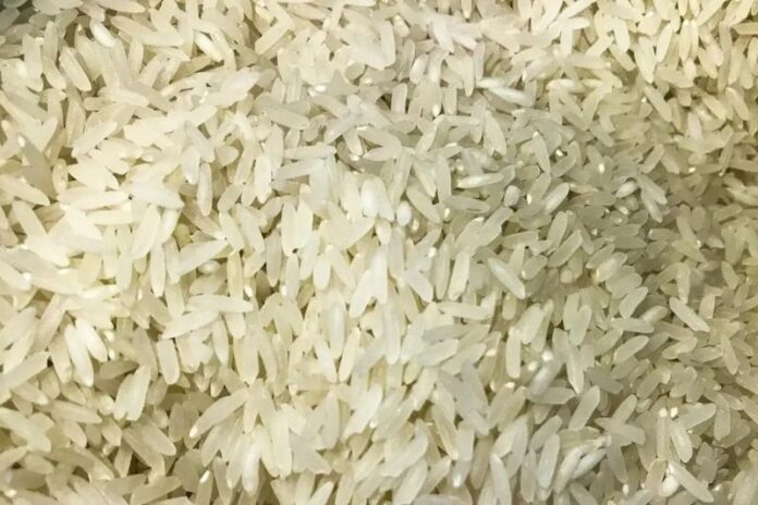 Leilão de arroz