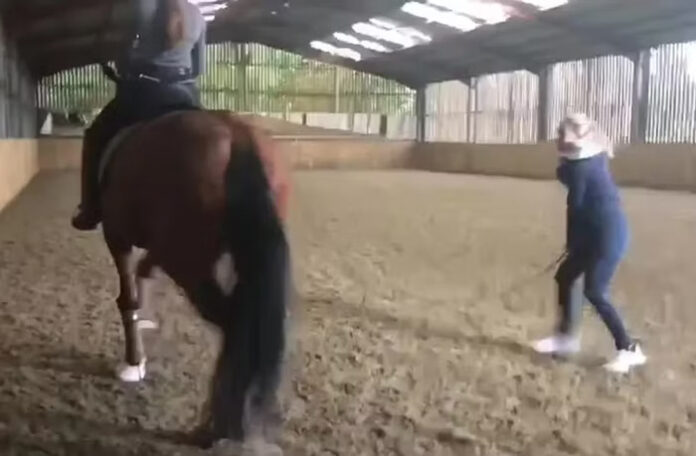 VÍDEO: Campeã de hipismo é vista praticando maus-tratos contra cavalo, e abandona Olimpíadas de Paris