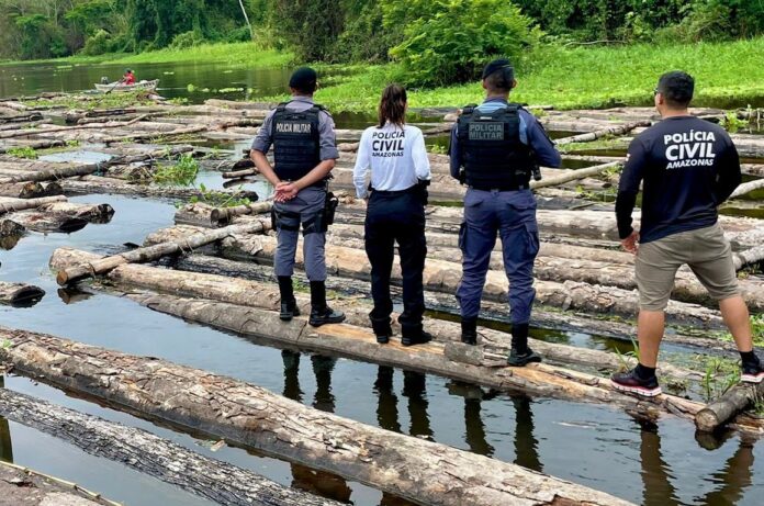 Polícia apreende 600 toras de madeira ilegal no rio Purus em Beruri, no AM