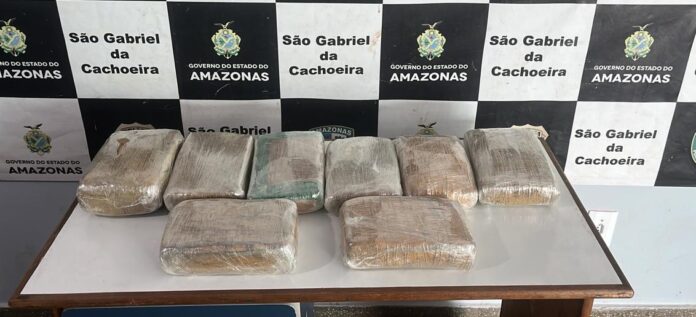 Mulher é presa ao tentar embarcar com 23 kg de maconha no aeroporto de São Gabriel da Cachoeira